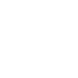 Fly Courier